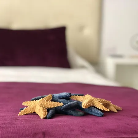 酒店 Oceano Centro (adults Only) *